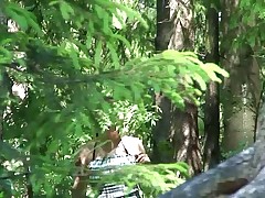 Shameless young teen caught peeing on forest path Part 1